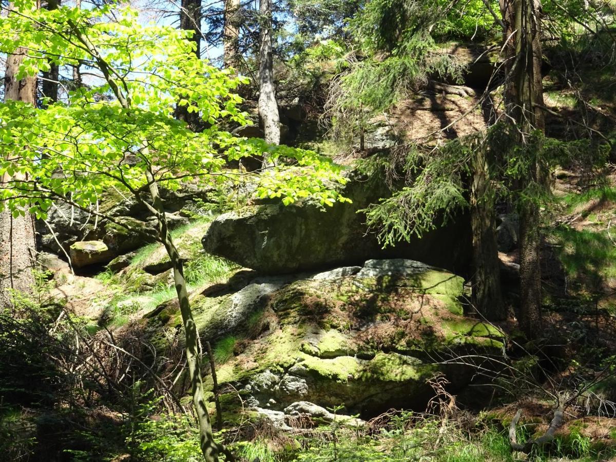 Cu-Ferienwohnungen - Nur Fuer Urlaubsgaeste Grafenwiesen エクステリア 写真