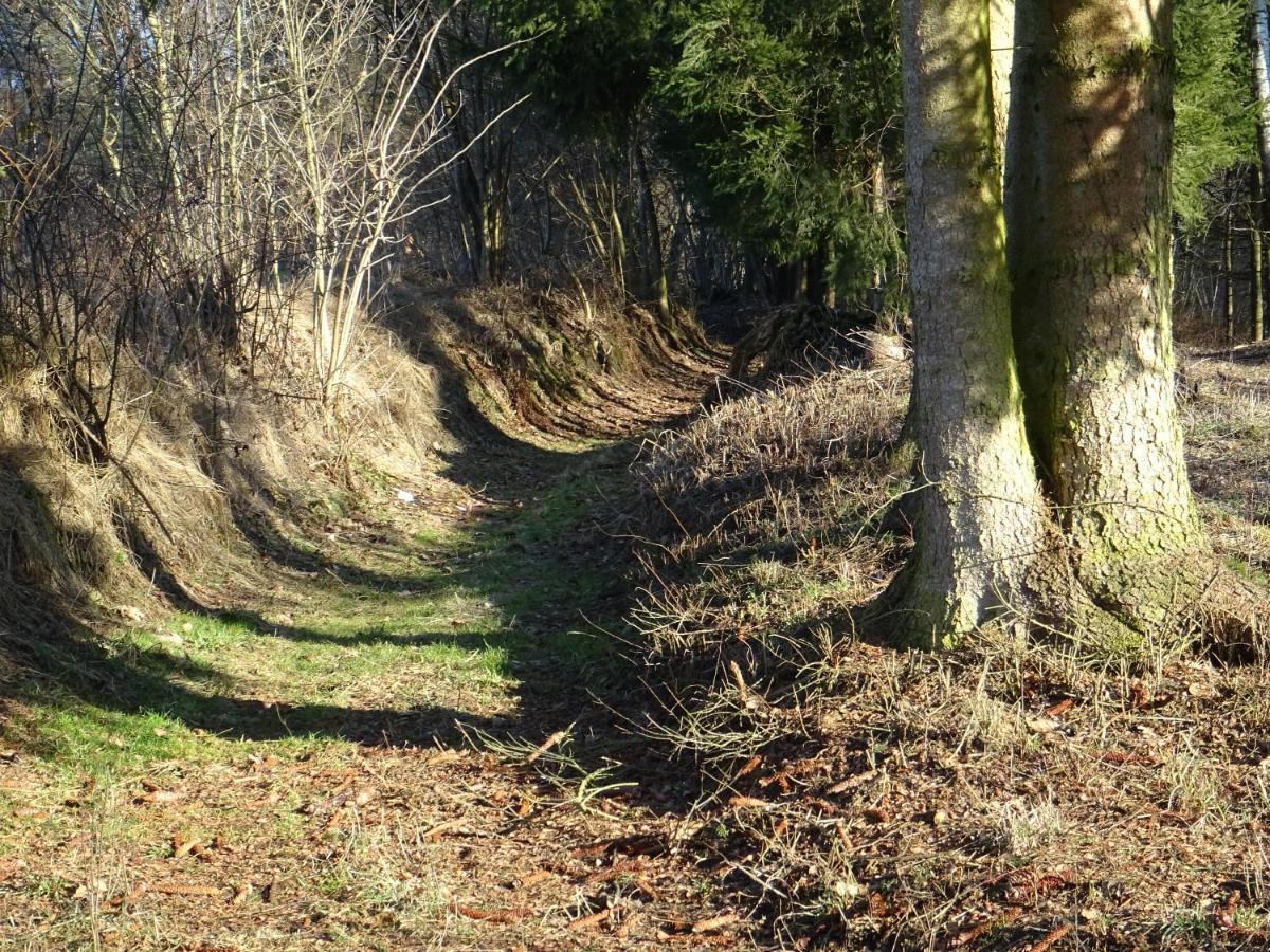 Cu-Ferienwohnungen - Nur Fuer Urlaubsgaeste Grafenwiesen エクステリア 写真